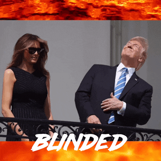 zck_kntr sun trump moon 2017 GIF