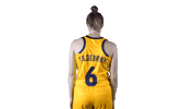 Eurobasket Women Eldebrink Sticker by Sweden Basketball