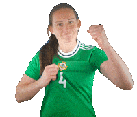 Happy Irish Football Sticker by Northern Ireland
