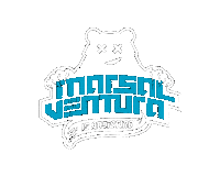 Dj Ventura Sticker by marsalventuradj