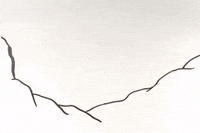 rainbow eyes animation GIF by Java Doodles