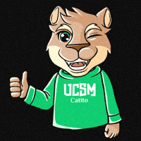 ucatolicadesantamaria Guiño camarada aprobación la católica GIF