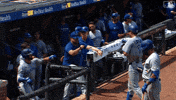 Blue Jays Baseball GIF by Toronto Blue Jays