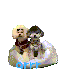아르르 Sticker by arrr_official