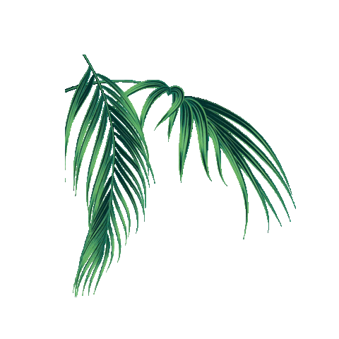 honestlyandie leaves tropical tropical vibes ocean vibes Sticker