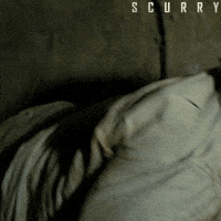 Scurry Creature Feature GIF by Signature Entertainment