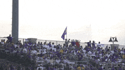 Baton Rouge Baseball GIF by LSU Tigers