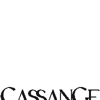 Cassange Sticker by Iorane