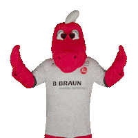 Handball Handballbundesliga Sticker by MT Melsungen