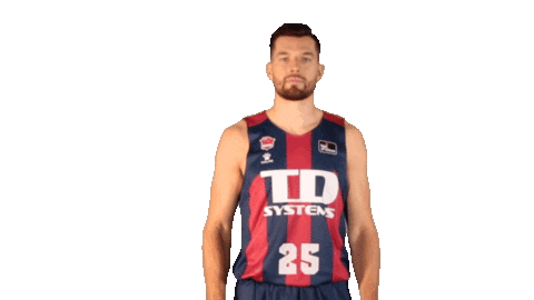 Liga Endesa Basketball Sticker by ACB