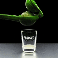 drinks cocktails GIF by Absolut Vodka