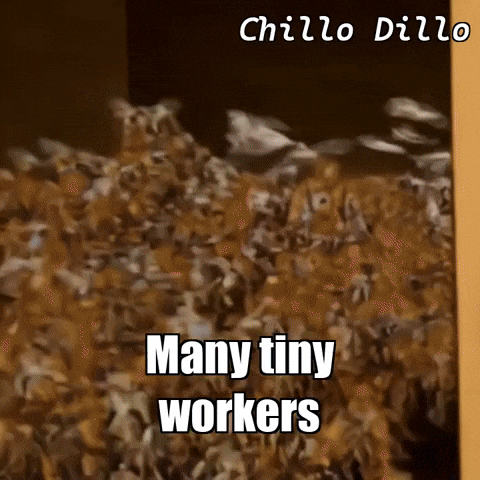 Unity Love GIF by Chillo Dillo