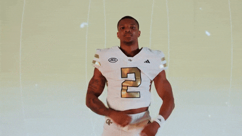 Georgia Tech Football Sport GIF by Georgia Tech Yellow Jackets