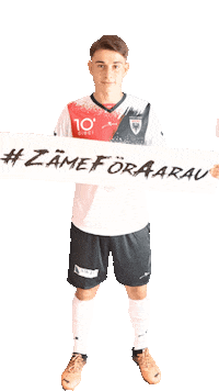 Schwegler Sticker by FCAarau