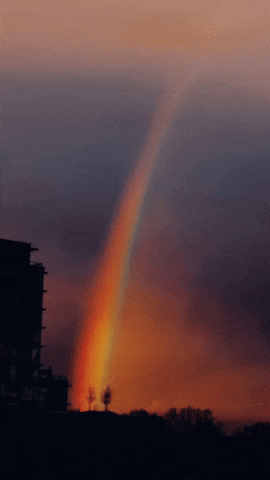 Rainbow GIF