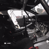 Ypsilon Showcar GIF by FIA World Rally Championship
