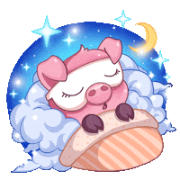 Night Sleeping Sticker by Township