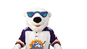 Hands Up Yes Sticker by Orlando Solar Bears