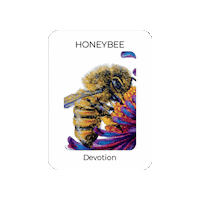 Divine Feminine Bee Sticker