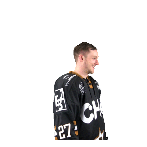 Ice Hockey Sticker by Ravensburg Towerstars
