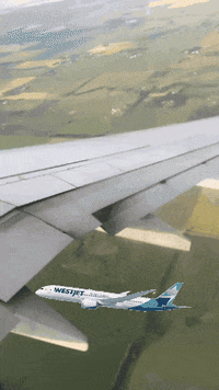 travelchicks travel plane airplane planes GIF