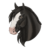 Horse Irish Sticker