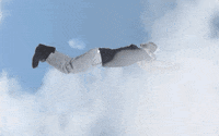 Democratic National Convention Dnc GIF by Election 2020