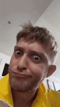 Vald GIF by systaime