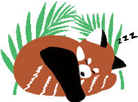 Panda Lesserpanda Sticker by toire