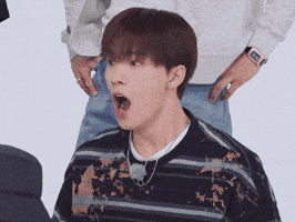 Dino 세븐틴 GIF