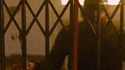 Most Dangerous Game GIF by The Roku Channel
