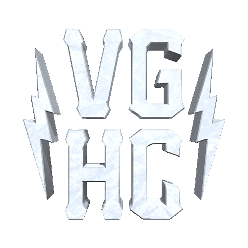 VGHC giphyupload hockey nhl ice Sticker