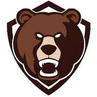 deal-with-it bear Sticker by Barenwald