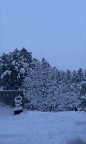 May Snowstorm Turns Idaho Into Winter Wonderland