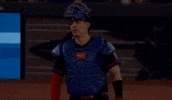 Blue Jays Dog GIF by Toronto Blue Jays