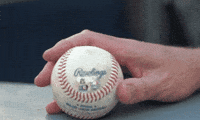 Blue Jays Baseball GIF by Toronto Blue Jays