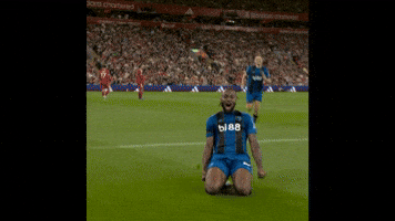 Happy Premier League GIF by AFC Bournemouth