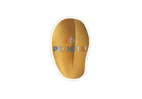 Peanuts Foodallergies Sticker by archiesallergies