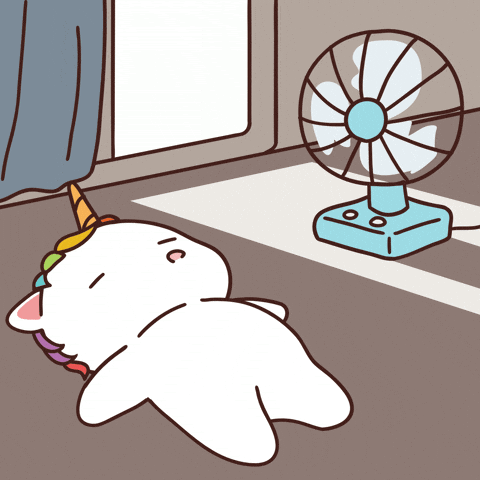 Chubbicorn GIF by Chubbiverse