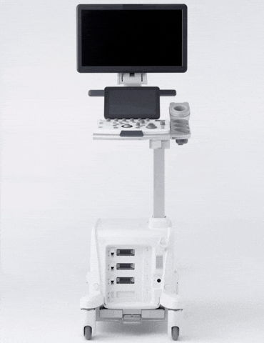 PuertoRico78 giphyupload GIF