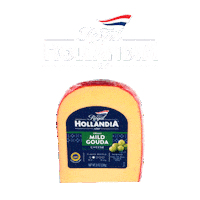 Fall Autumn Sticker by Gayo Azul