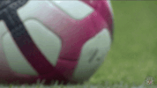 ligue 1 soccer GIF by Toulouse Football Club
