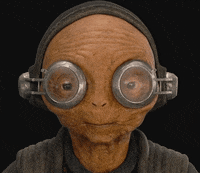 page day GIF