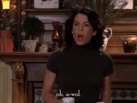 season 5 netflix GIF by Gilmore Girls 
