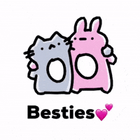 Best Friends Cat GIF