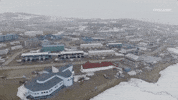 viceland GIF by Dead Set on Life