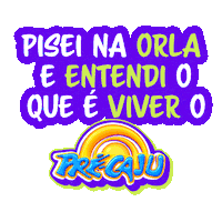 Sergipe Sticker by precaju