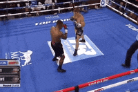 Espn Fighting GIF by Top Rank Boxing