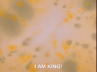 ren and stimpy nicksplat GIF