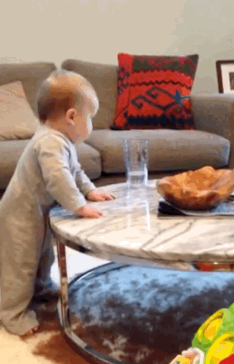 Video gif. Baby reaches over a coffee table towards a cup of water. Before the baby can touch the cup, white text appears reading, “No,” and the baby stops to look at us before trying again. The baby gets told no a total of three times.
